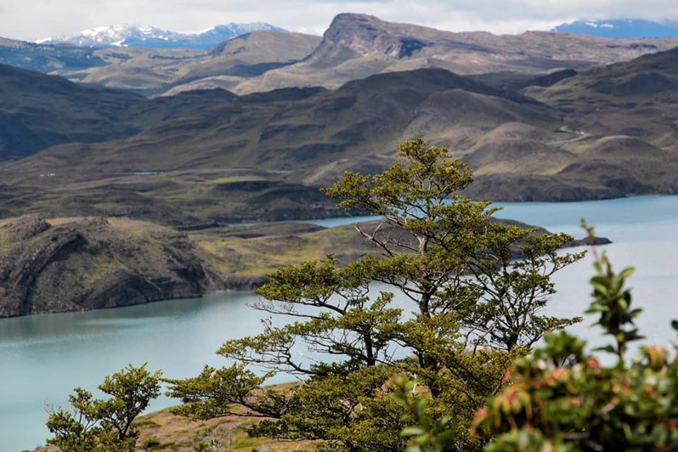 Патагония, Torres del Paine